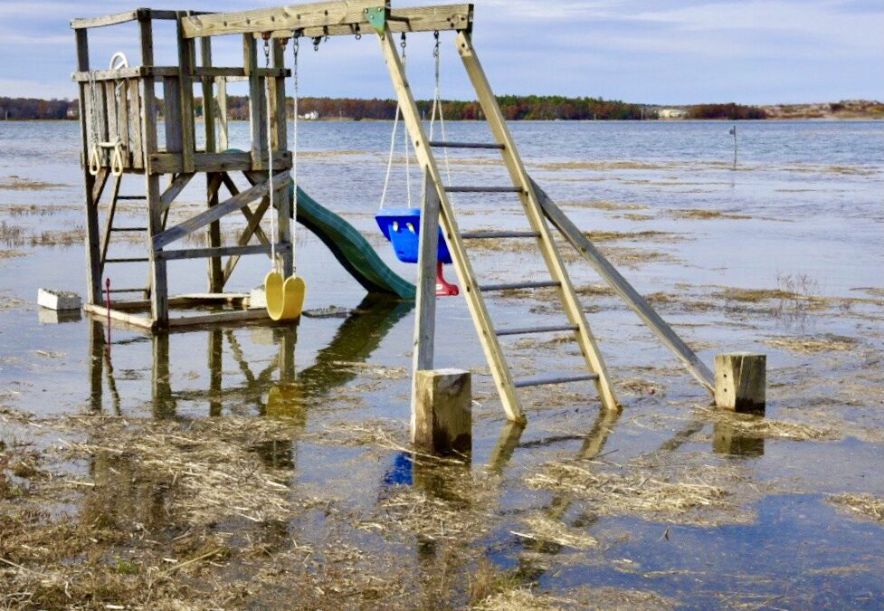 Rising Tides and Resilient Shorelines