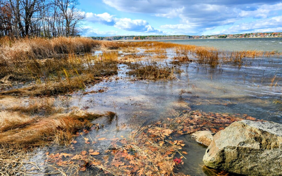 Announcing the 2025 Picturing Rising Tides Voting Results