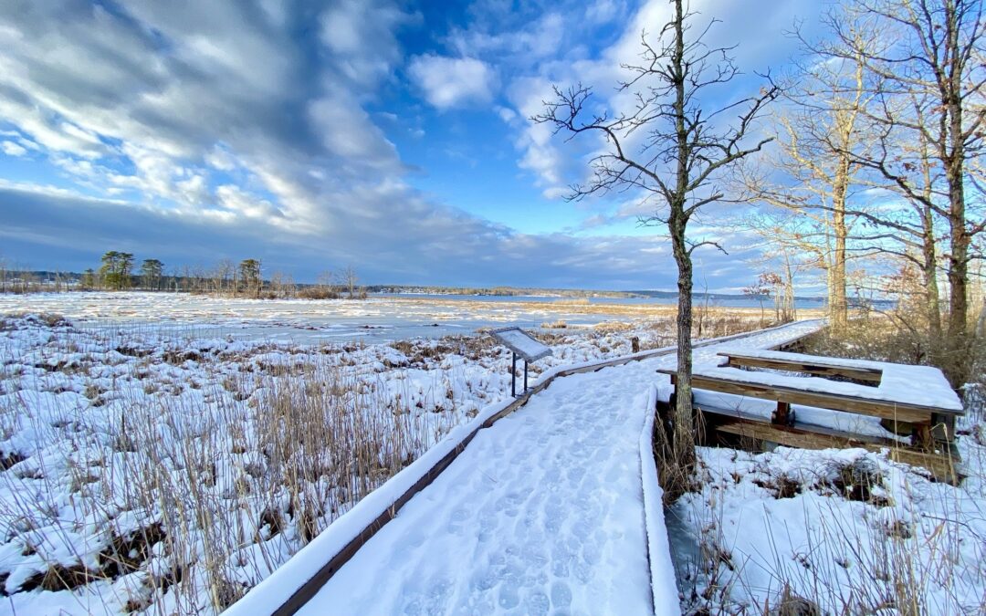 CAW Newsletter: Winter 2026