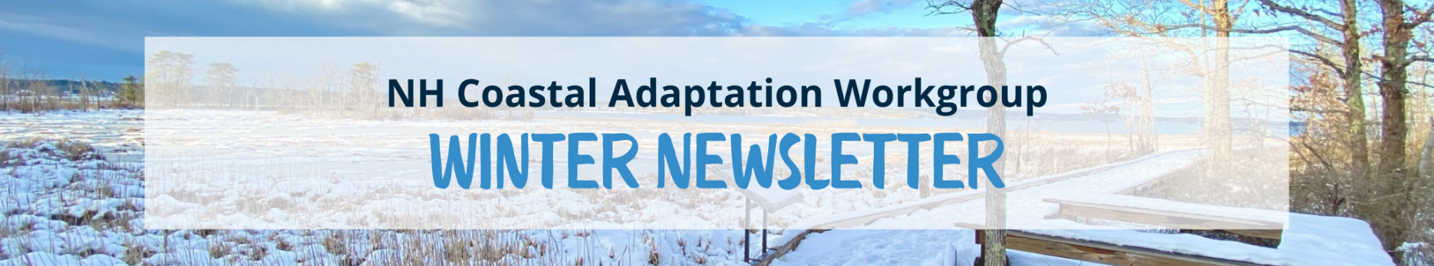 Text over image of snowy marsh: "Winter Newsletter"