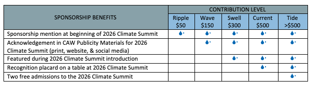 Sponsorship levels and benefits