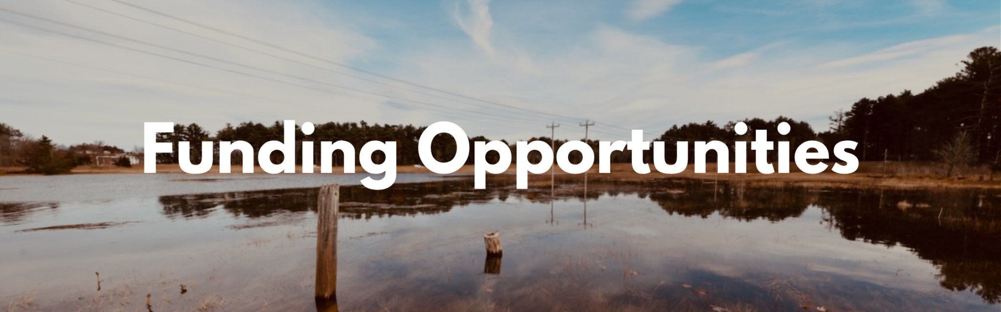 Marsh with text overlay reading "Funding Opportunities"