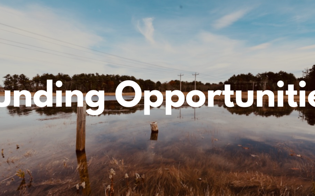 Spring 2026 Funding Opportunities