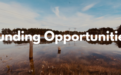 Spring 2026 Funding Opportunities