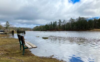 CAW Newsletter: Spring 2026