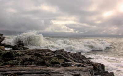 Picturing Rising Tides 2026