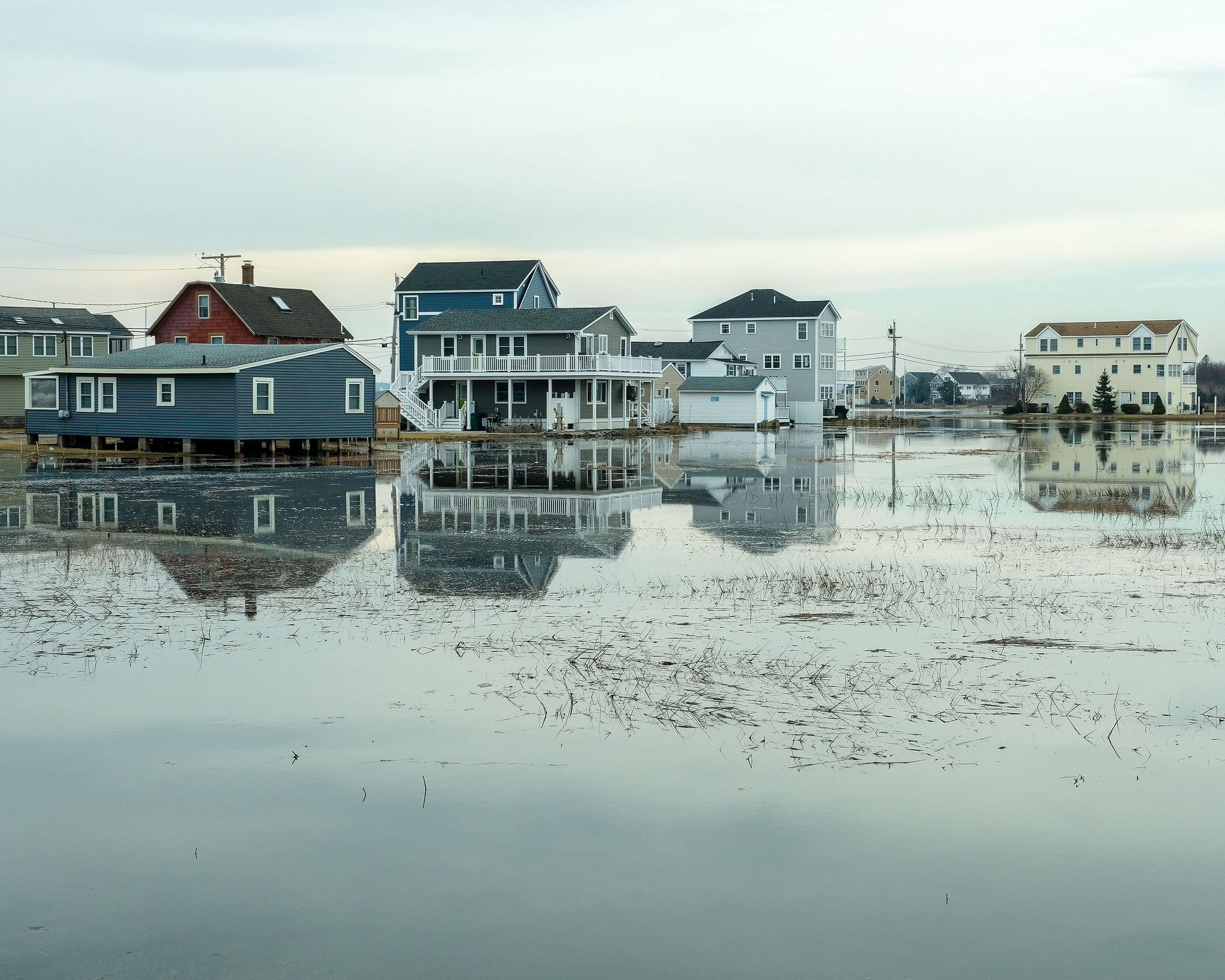 A marsh behind a group of houses floods
