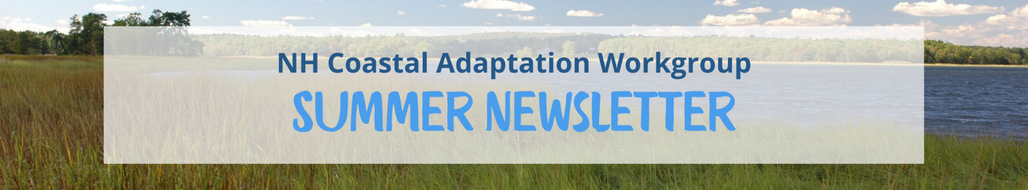 Banner: NH Coastal Adaptation Workgroup Summer Newsletter