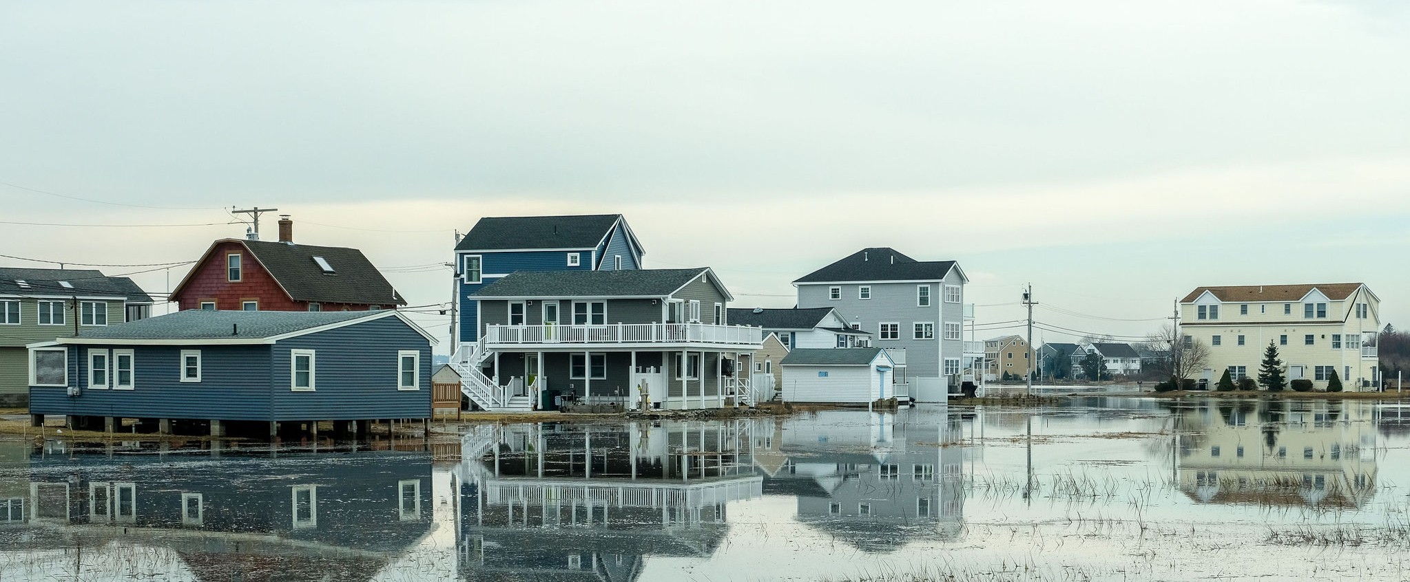 A marsh behind a row of houses floods